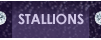 Stallions Stallions