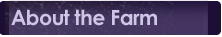 About the Farm
