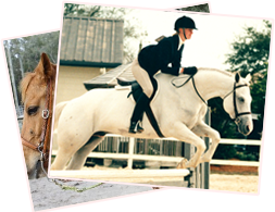 Students and Horses