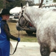 Showmanship with “Alias Moses King”