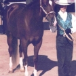 Showmanship with GeeGee