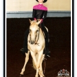 Bareback Equitation