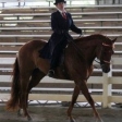 Saddle Seat in Conyers