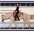 Western Pleasure 2004 Youth World